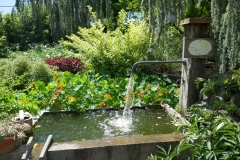 Gardenia Shevardnadze
