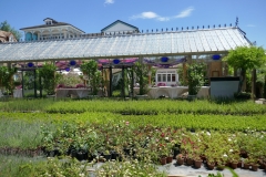 Gardenia Shevardnadze