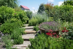 Gardenia by Zura Shevardnadze, Tbilisi