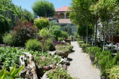 Gardenia Shevardnadze