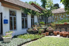 Gardenia Shevardnadze