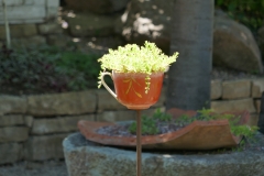 Gardenia by Zura Shevardnadze, Tbilisi