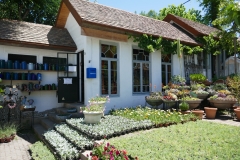 Gardenia Shevardnadze