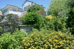 Gardenia by Zura Shevardnadze, Tbilisi