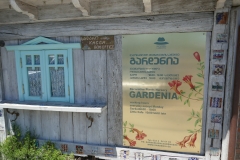Gardenia by Zura Shevardnadze, Tbilisi