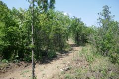 Hiking trail Mtatsminda – Turtle Lake