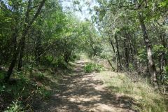 Hiking trail Mtatsminda – Turtle Lake, Tbilisi