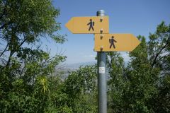 Hiking trail Mtatsminda – Turtle Lake