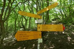 Hiking trail Mtatsminda – Turtle Lake, Tbilisi, Georgia