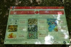 Hiking trail Mtatsminda – Turtle Lake