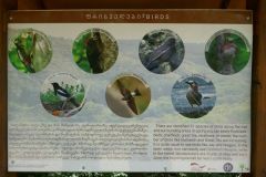 Hiking trail Mtatsminda – Turtle Lake