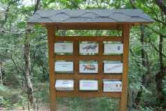 Hiking trail Mtatsminda – Turtle Lake, Tbilisi