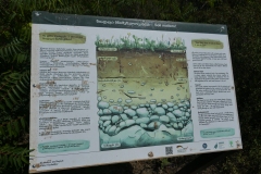 Hiking trail Mtatsminda – Turtle Lake, Tbilisi city