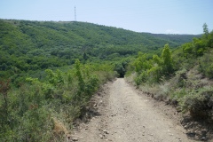 Hiking trail Mtatsminda – Turtle Lake, Tbilisi, Georgia