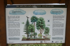 Hiking trail Mtatsminda – Turtle Lake
