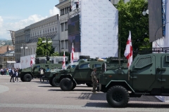 День незалежності Грузії 26 травня 2022 року