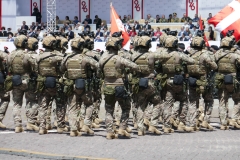 День незалежності Грузії 26 травня 2022 року