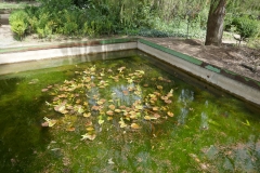 National Botanical Garden of Georgia