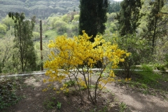 National Botanical Garden of Georgia in Tbilisi city