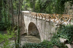 National Botanical Garden of Georgia