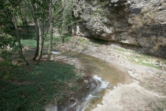 National Botanical Garden of Georgia, Tbilisi