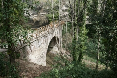 National Botanical Garden of Georgia
