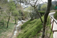 National Botanical Garden of Georgia, Tbilisi