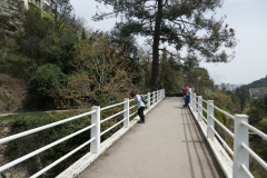 National Botanical Garden of Georgia