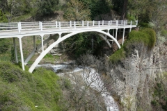 National Botanical Garden of Georgia, Tbilisi