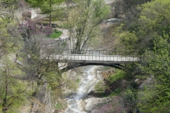 National Botanical Garden of Georgia, Tbilisi