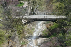 National Botanical Garden of Georgia in Tbilisi city