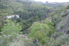 National Botanical Garden of Georgia, Tbilisi