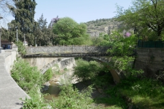 Національний ботанічний сад Грузії, Тбілісі
