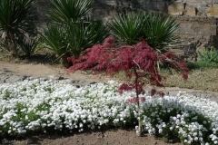 National Botanical Garden of Georgia