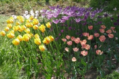 National Botanical Garden of Georgia, Tbilisi