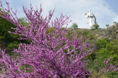 National Botanical Garden of Georgia