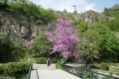 National Botanical Garden of Georgia, Tbilisi