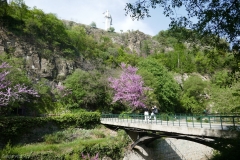 National Botanical Garden of Georgia in Tbilisi city