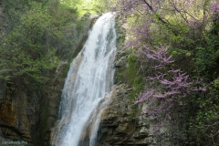 National Botanical Garden of Georgia, Tbilisi