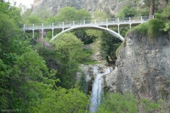 National Botanical Garden of Georgia in Tbilisi city