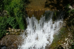 National Botanical Garden of Georgia, Tbilisi