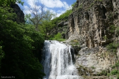 National Botanical Garden of Georgia in Tbilisi city