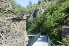 National Botanical Garden of Georgia