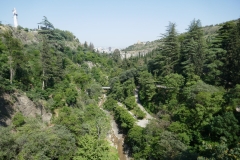 National Botanical Garden of Georgia, Tbilisi