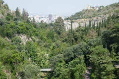 National Botanical Garden of Georgia in Tbilisi city