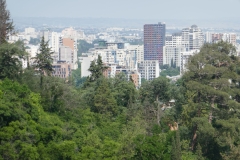 National Botanical Garden of Georgia