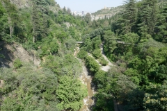 National Botanical Garden of Georgia, Tbilisi