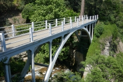 National Botanical Garden of Georgia in Tbilisi city