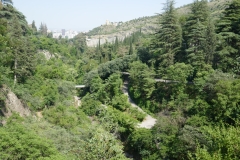 Національний ботанічний сад Грузії