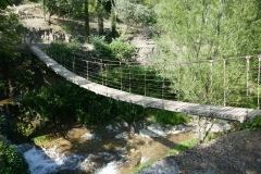 National Botanical Garden of Georgia, Tbilisi